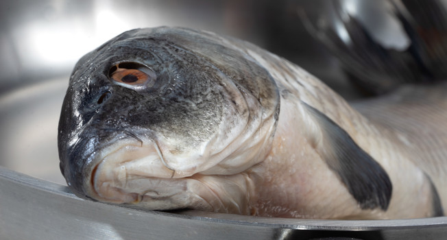 Как жарить речную рыбу фото