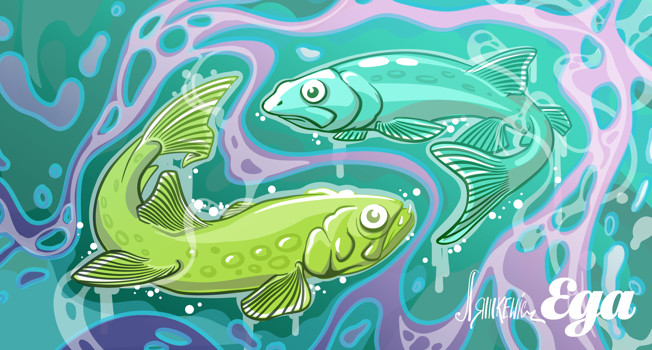 Какая корюшка пахнет огурцом фото