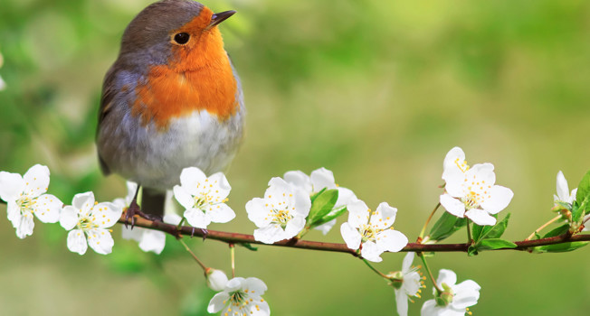 Какие продукты готовить в мае фото