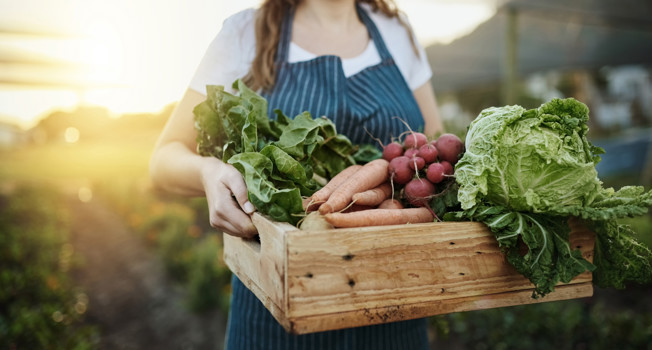 Какие продукты готовить в начале лета фото