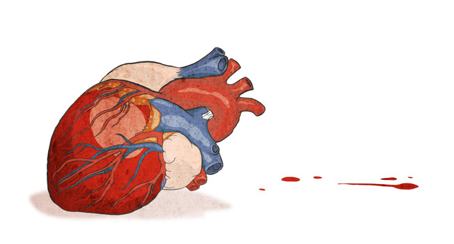 Какие продукты полезны для сердца? фото