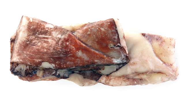 Кальмары фото