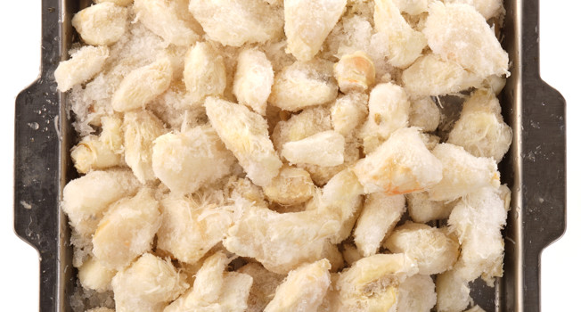 Камчатский краб фото