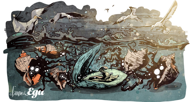 Крымские устрицы фото