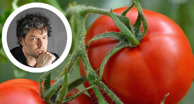 Реплика Семеляка. О приятии фото