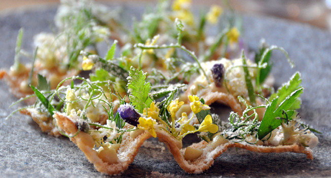 Обыкновенный нордизм фото