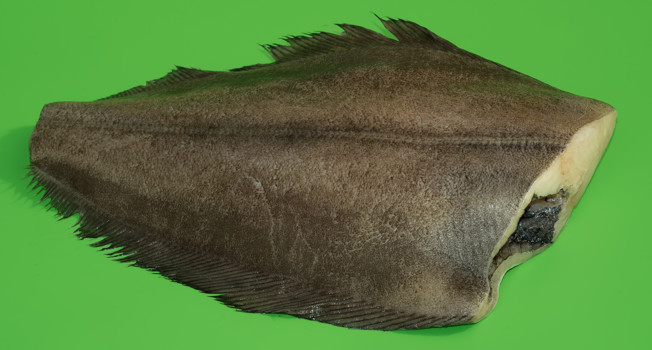 Палтус: идеи от шефов фото