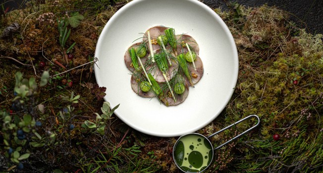 Первый всероссийский Фестиваль устойчивой гастрономии 02 фото