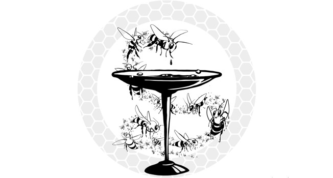 Полезен ли мед? фото