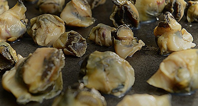 Рапаны фото