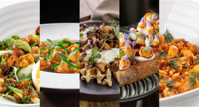 Рецепты с лисичками из ресторанов  фото