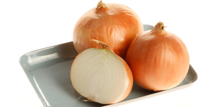 Репчатый лук фото