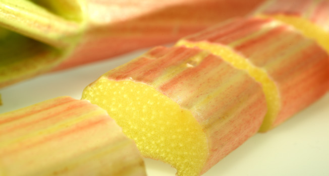 Ревень фото