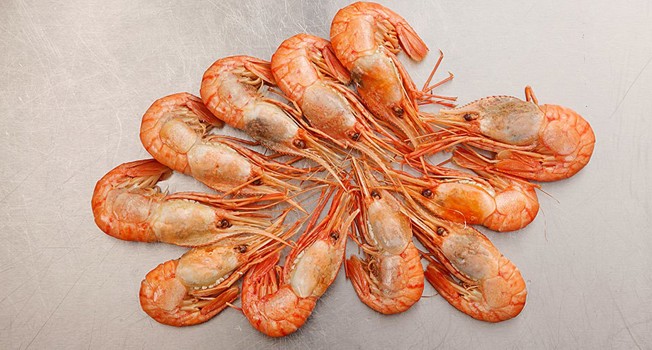 Гребенчатые креветки фото