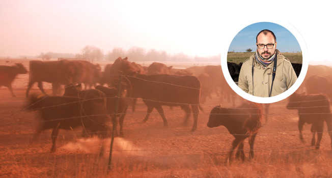 Съешь меня! фото