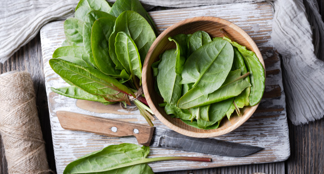 Щавель: польза и вред фото