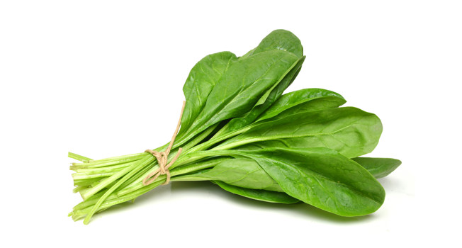 Шпинат: польза и вред фото