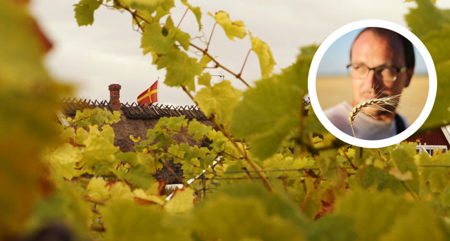 Реплика Лошманова. Шведский стол фото