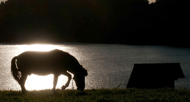 Сияние северного фото