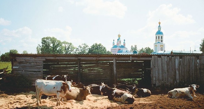 Обед послушания: что едят в Санаксарском монастыре фото