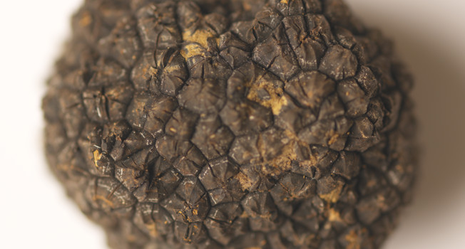 Трюфели фото