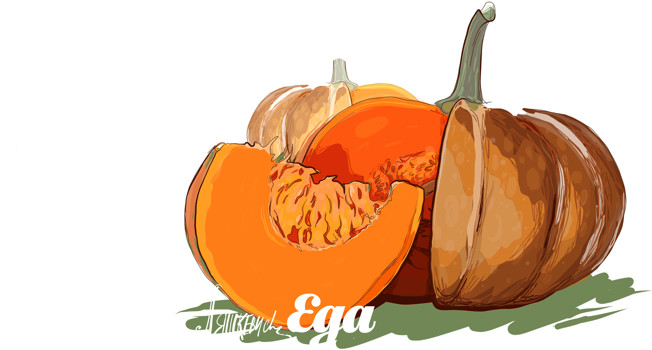 Тыква и что с ней делать фото