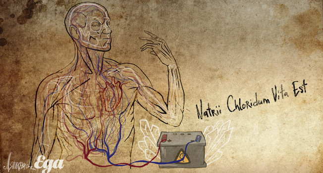 Зачем человеку соль? фото