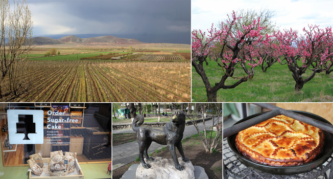 Зачем ехать в отпуск в Армению  фото