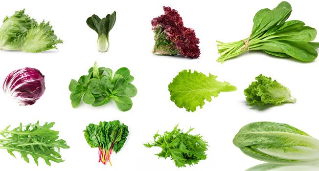 Зеленые салаты: какими бывают и как их есть фото