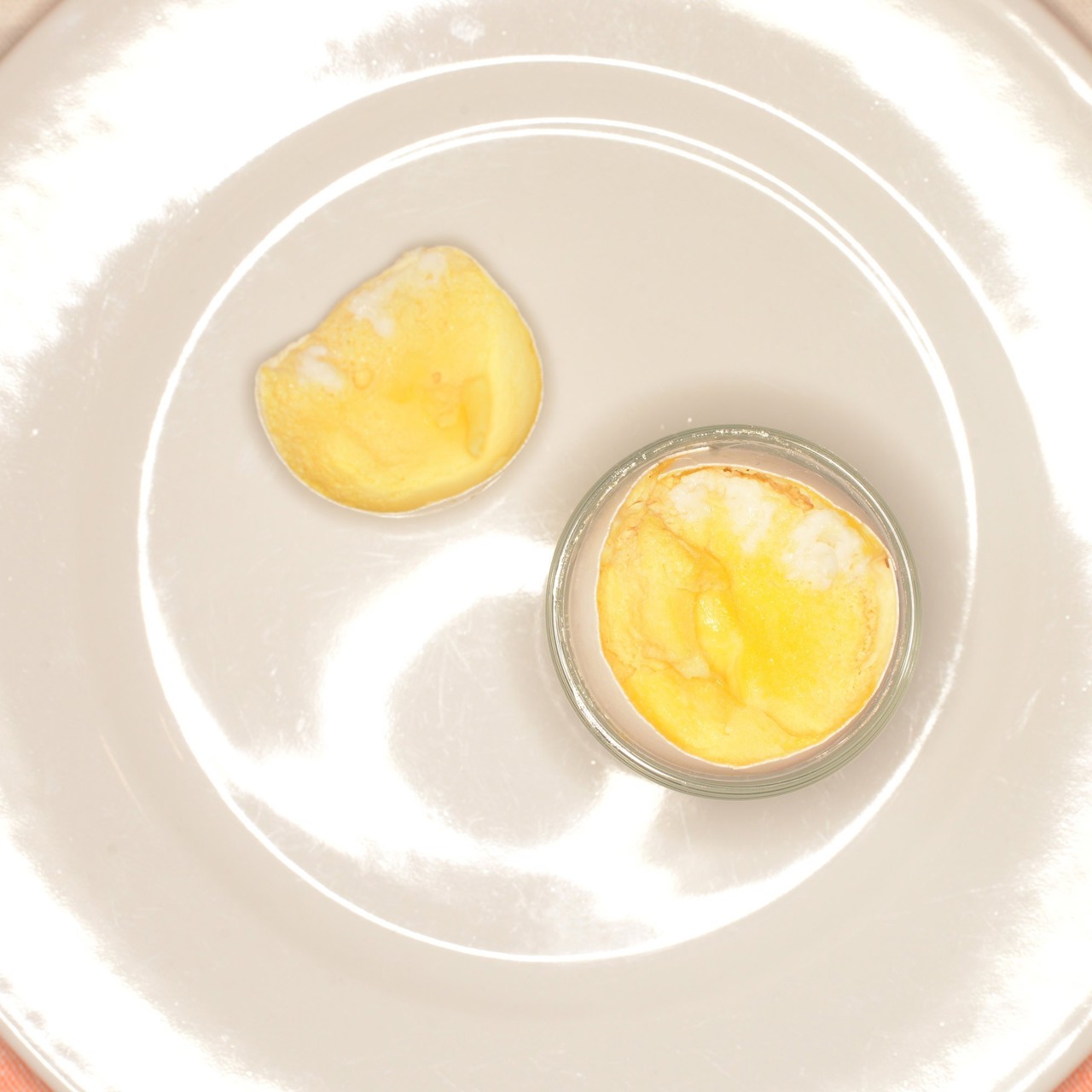 Болтунья в скорлупе