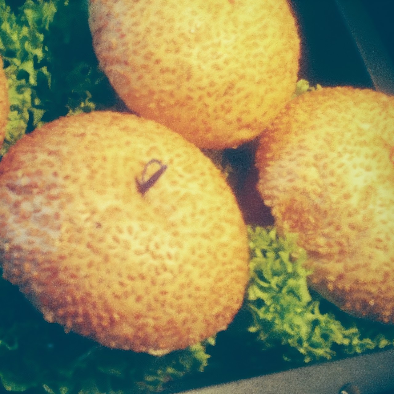 Бургер с котлетой, зеленью и сыром