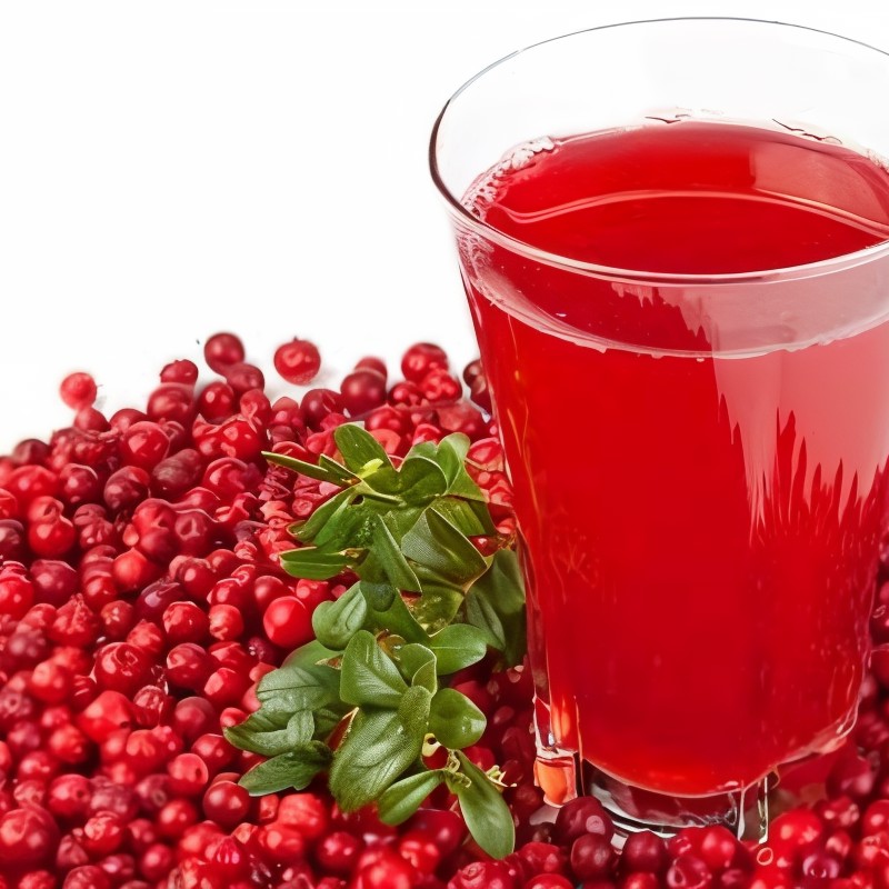 Домашний клюквенный морс