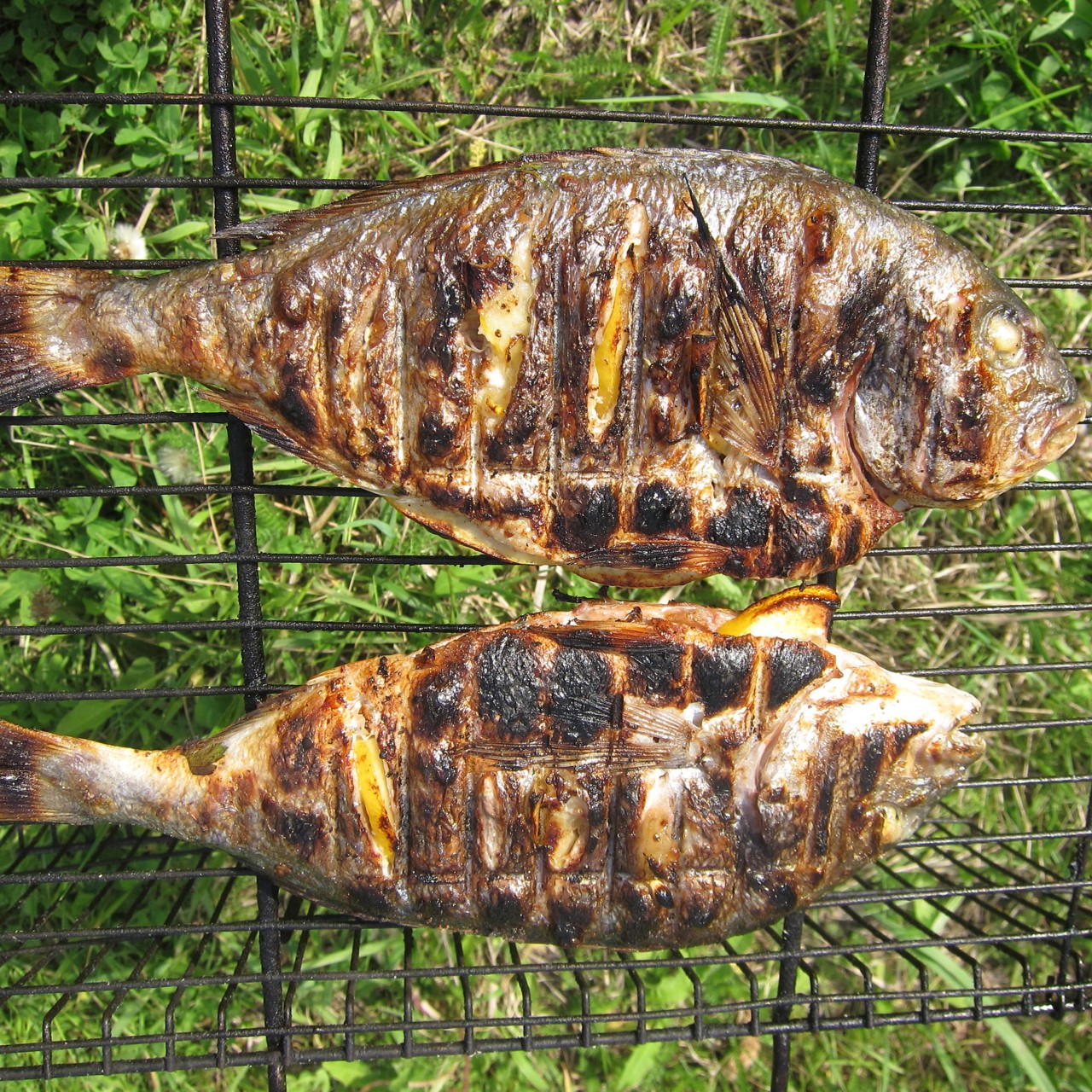 Дорада на гриле под быстрым маринадом из петрушки