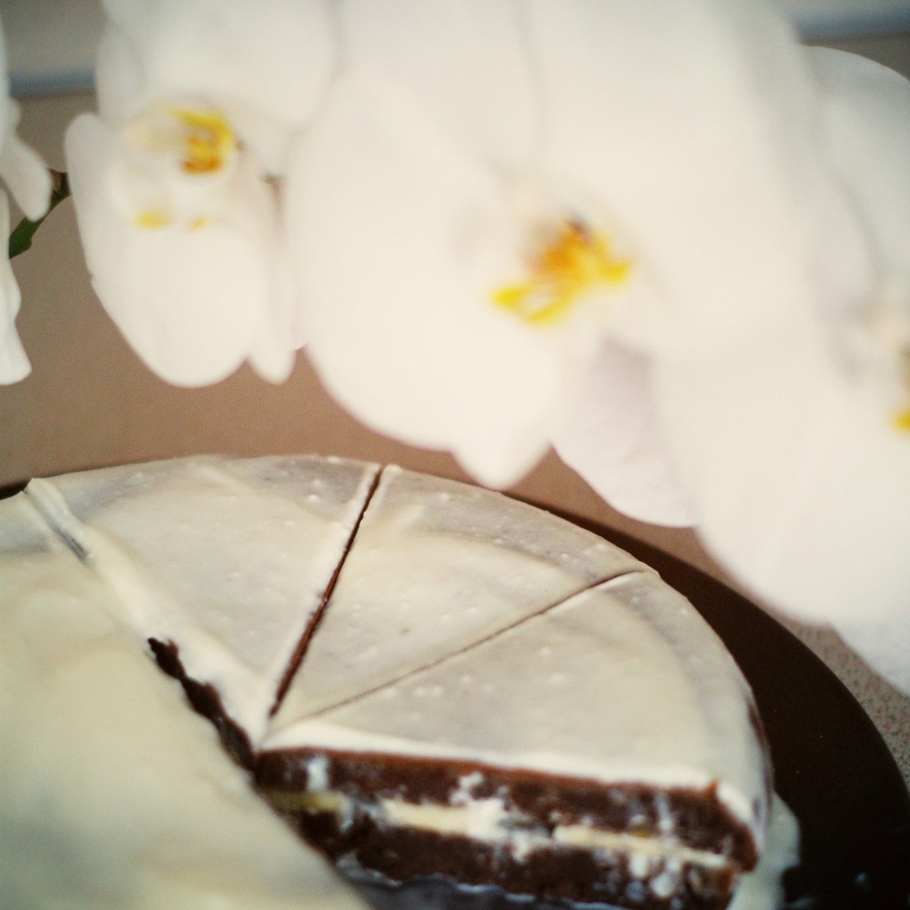 Финиковый пудинг