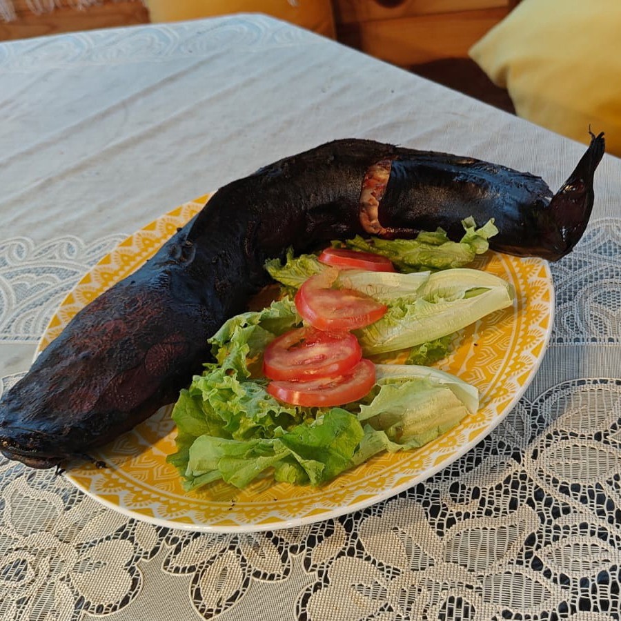 Копченый сом