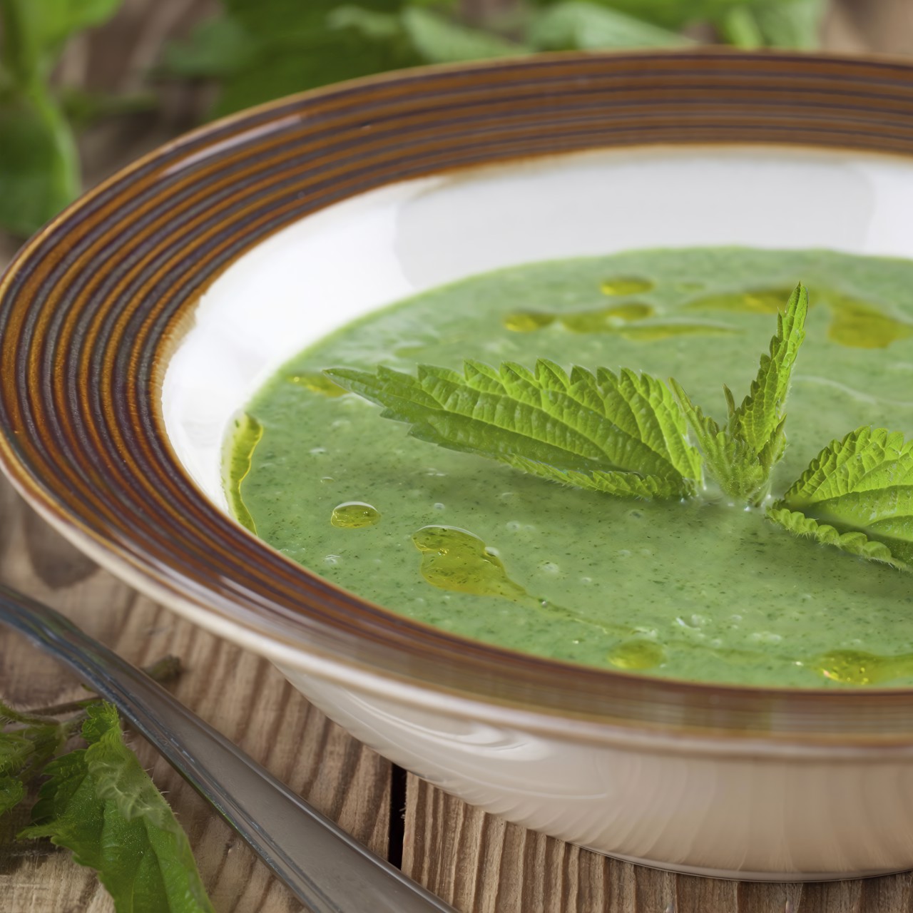 Крем-суп из крапивы