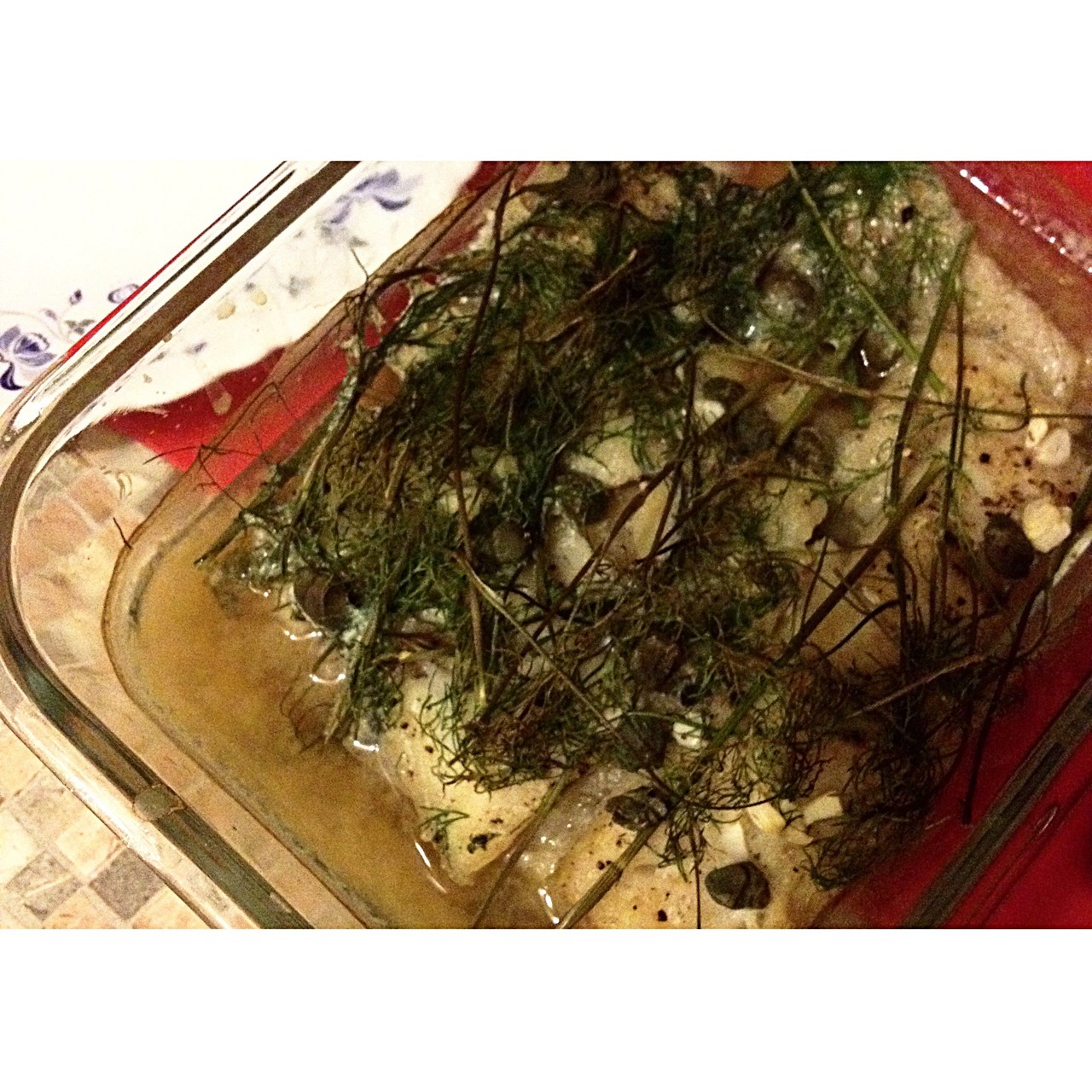 Лобань духовая с зеленью