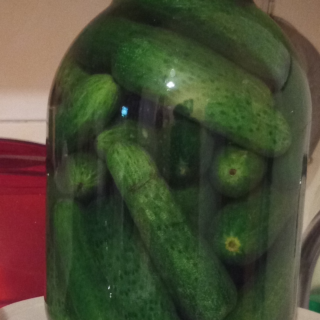 Малосольные огурцы с лавровым листом и укропом