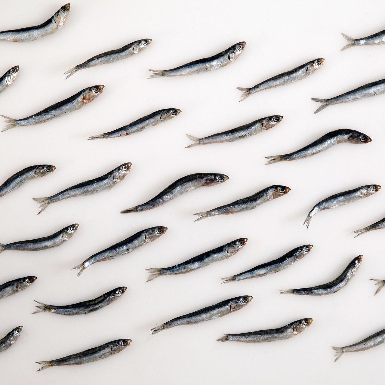 Маринованная хамса