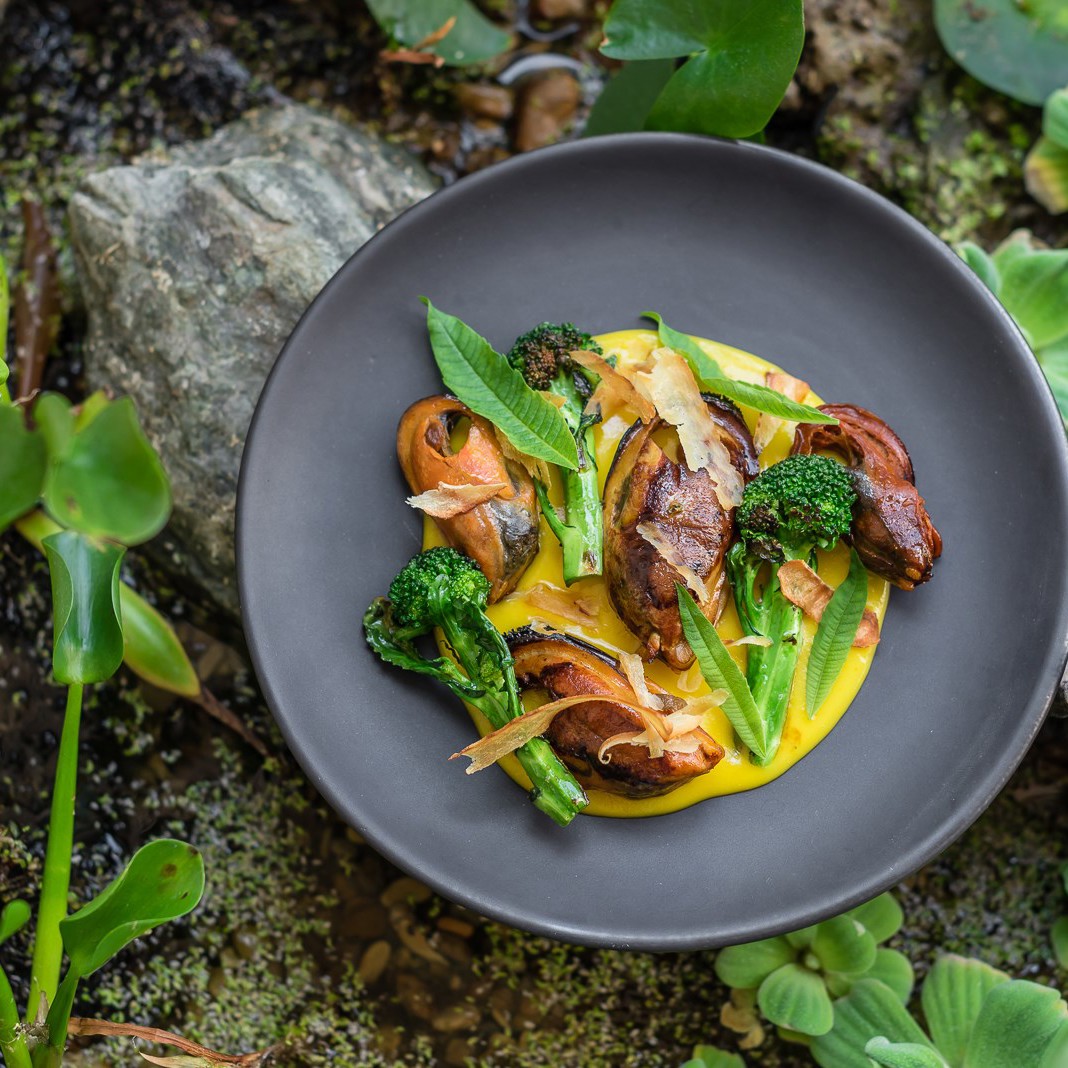 Мидии с соусом из лимонных корок