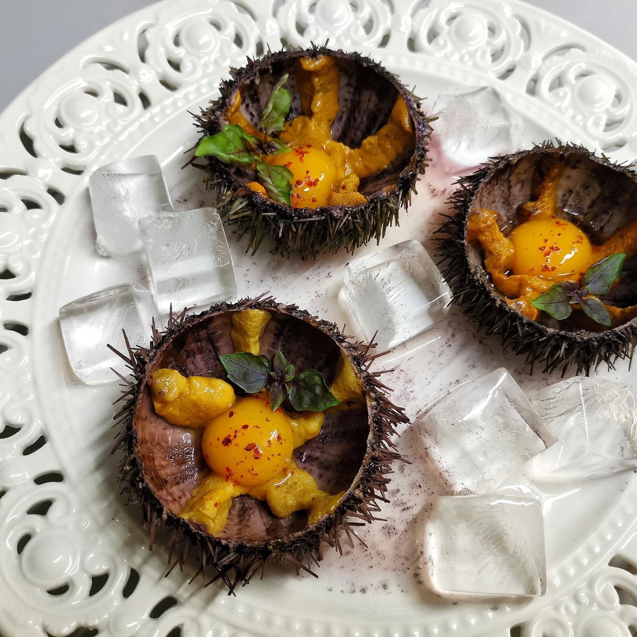 Морские ежи