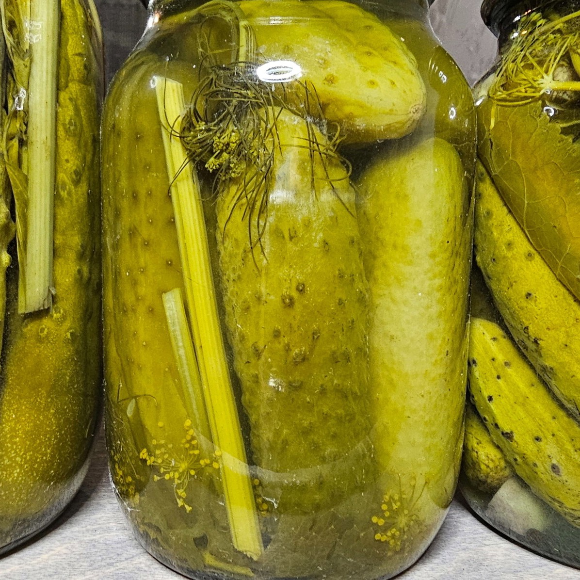 Огурцы, маринованные с листьями дуба и смородины