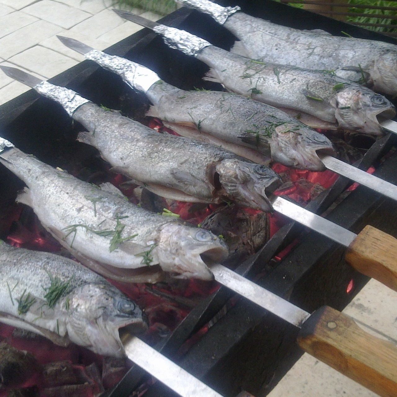 Озерная форель на углях