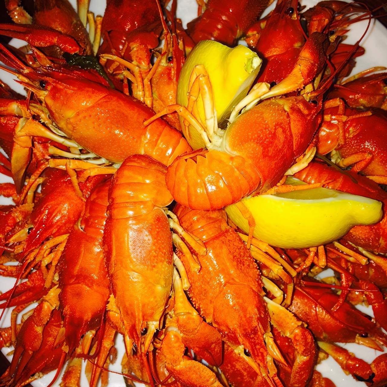 Раки отварные