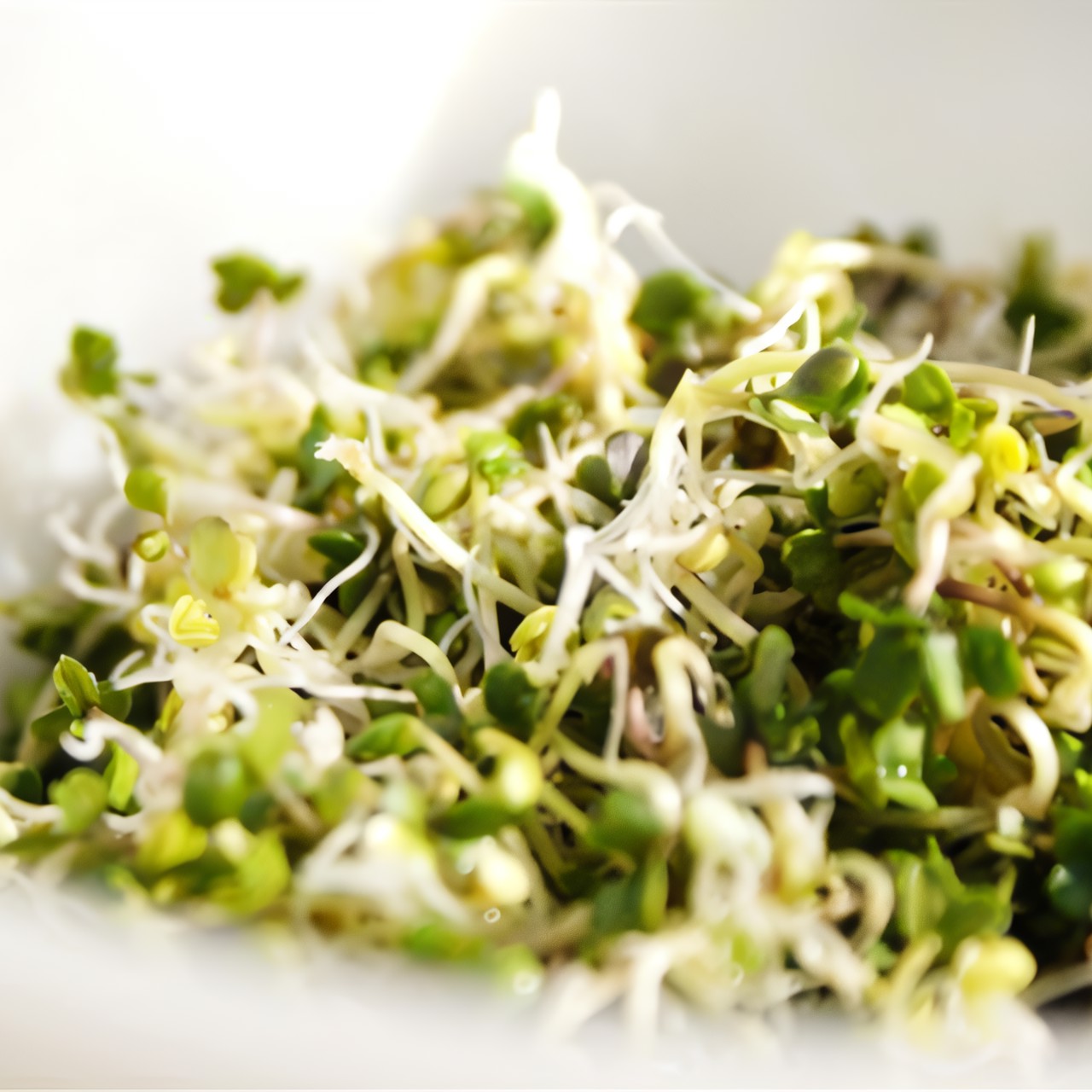 Салат из чечевичных проростков