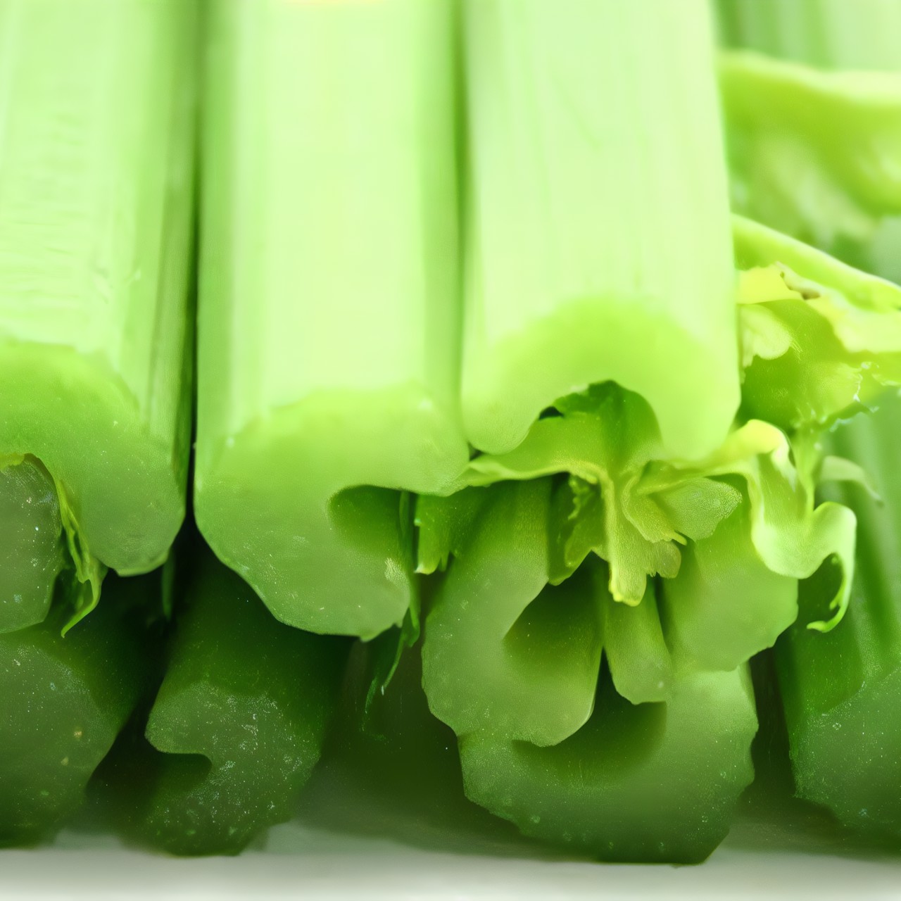 Салат «Сельдерей»