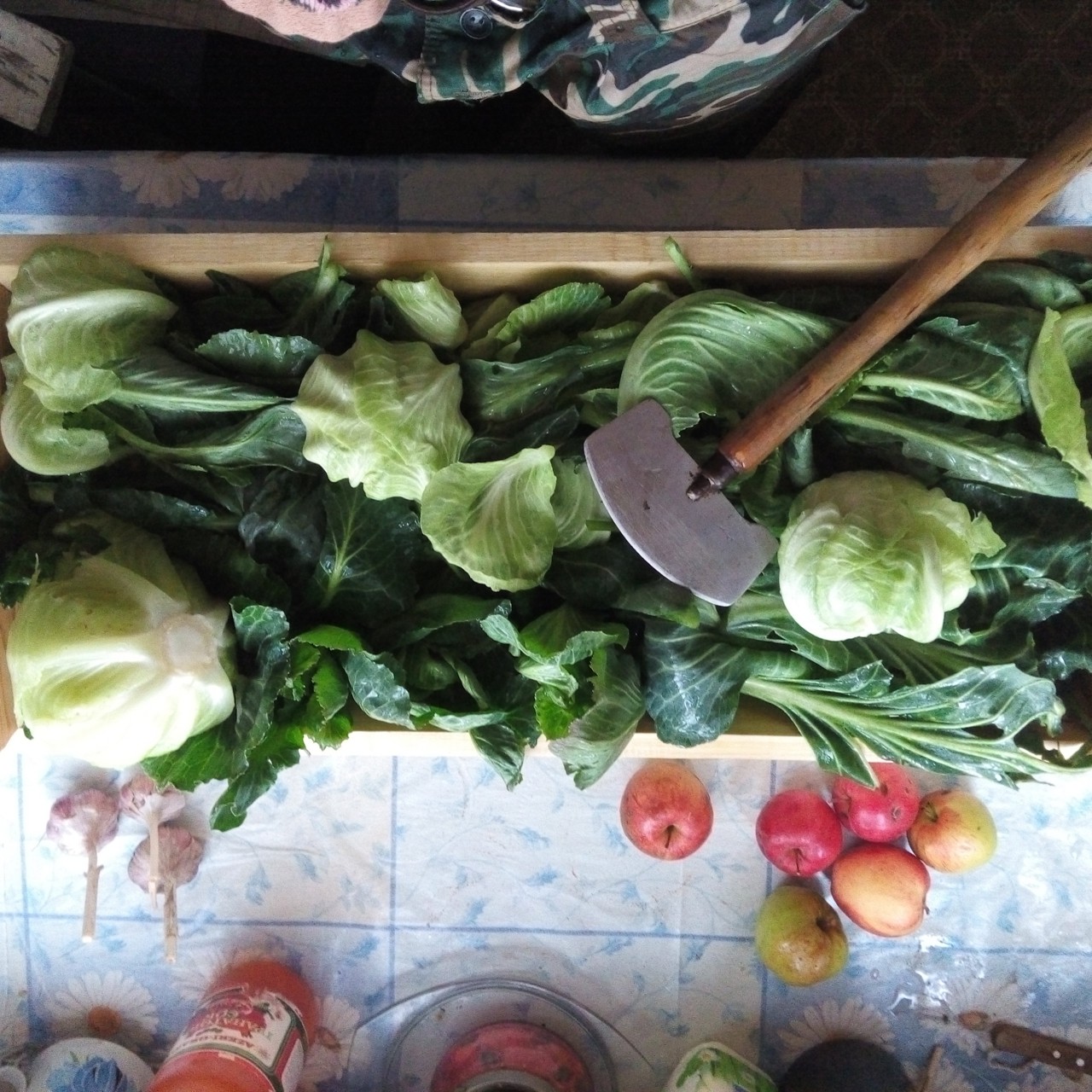 Серая квашеная капуста