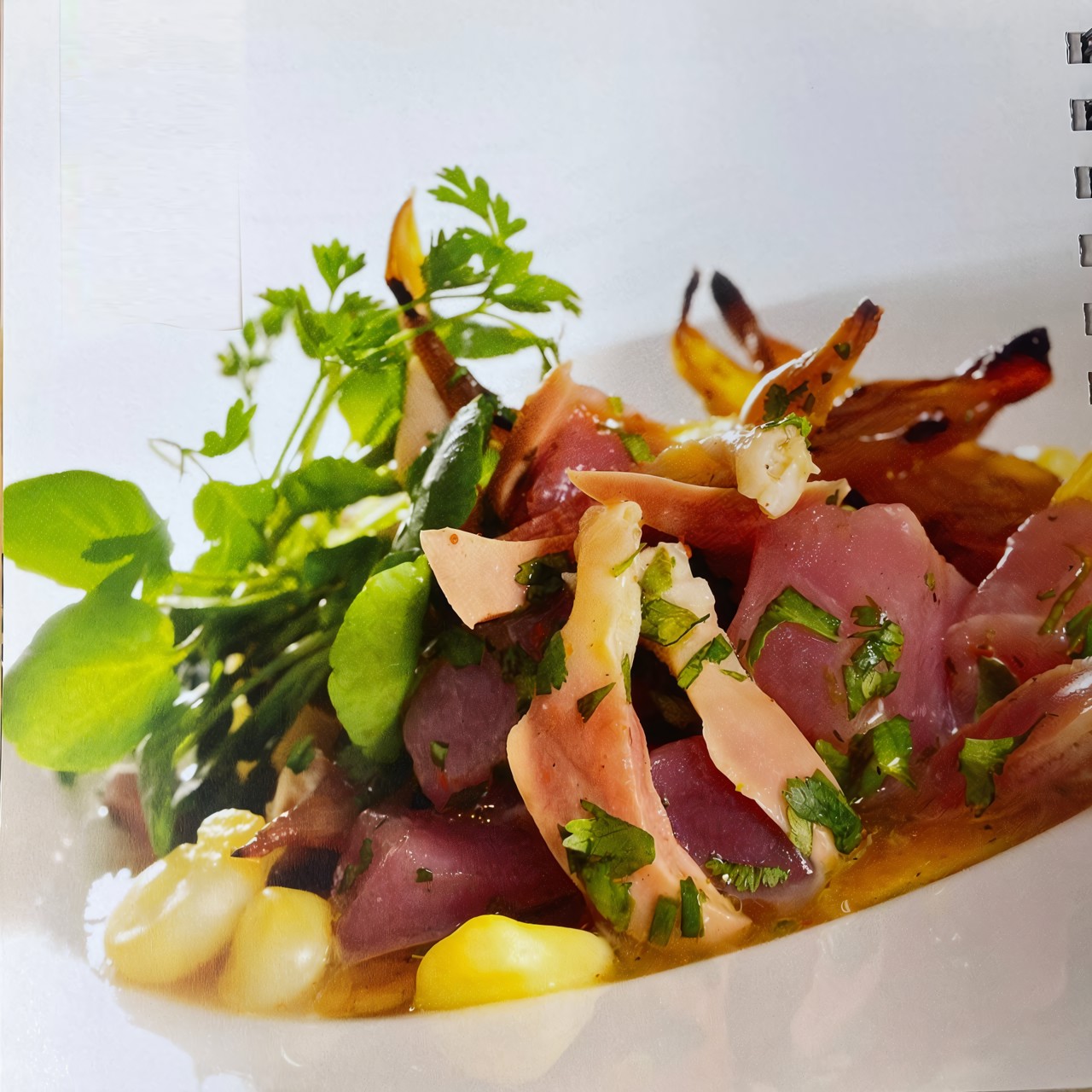 Севиче с тунцом и моллюском