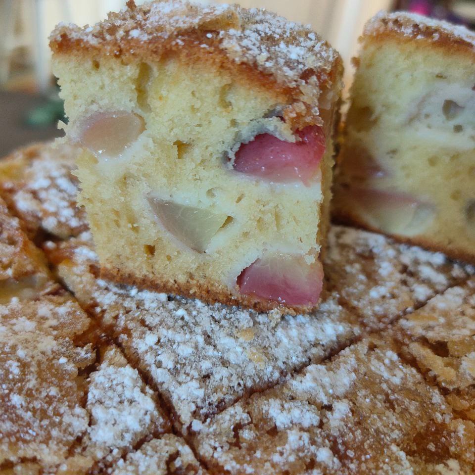 Шарлотка с нектаринами