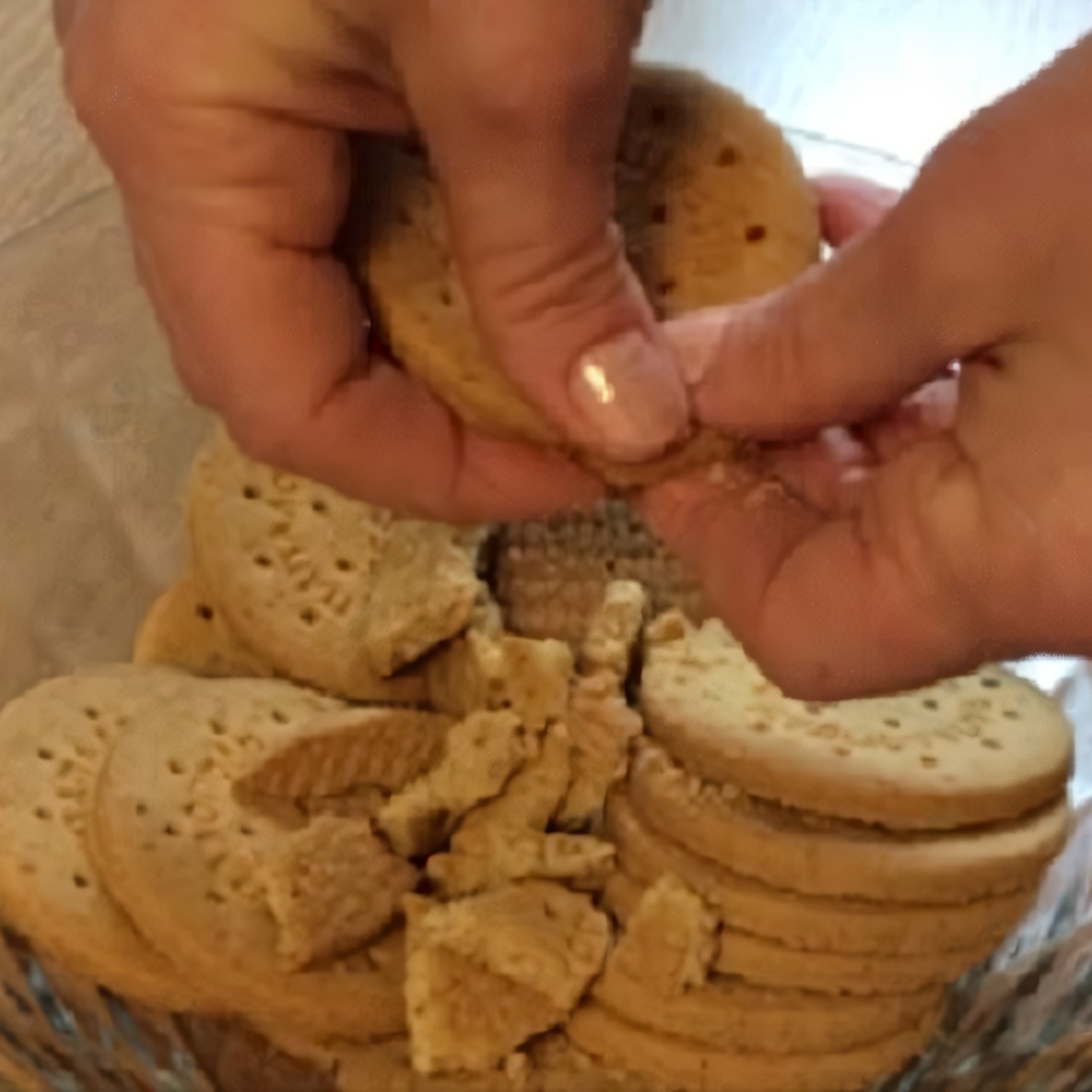 Шоколадный торт без выпечки из печенья и фундука